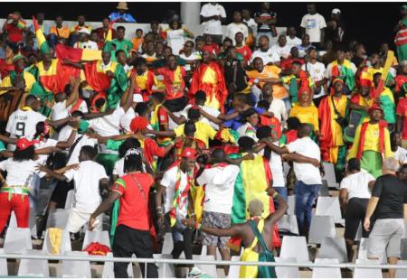 https://storage.bljesak.info/article/444330/450x310/guinea fans.jpg